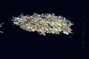 Cross Polarized, S5223