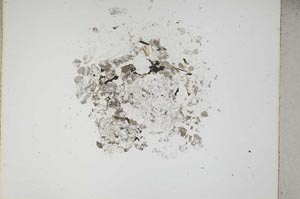 Plane Polarized, S5224