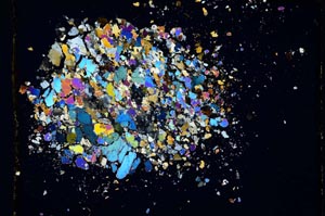 Cross Polarized, S5225