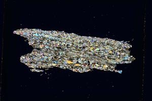 Cross Polarized, S5233