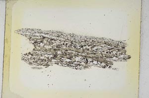 Plane Polarized, S5233