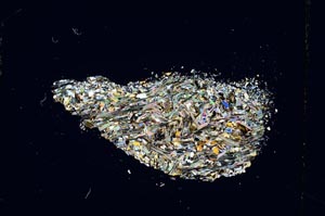 Cross Polarized, S5234