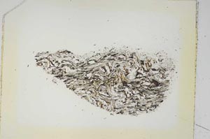 Plane Polarized, S5234