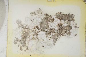 Plane Polarized, S5247