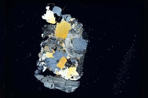 Cross Polarized, S5252