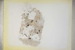 Plane Polarized, S5252