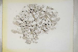 Plane Polarized, S5254