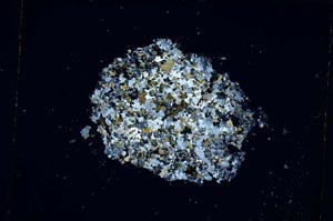 Cross Polarized, S5255