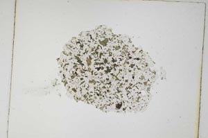 Plane Polarized, S5255