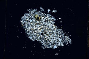 Cross Polarized, S5256