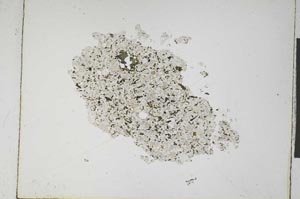 Plane Polarized, S5256