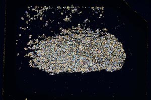 Cross Polarized, S5260