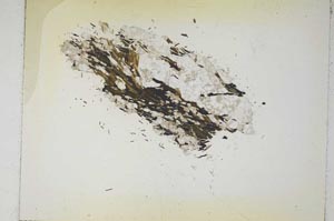 Plane Polarized, S5263