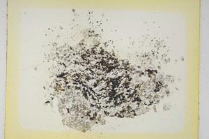 Plane Polarized, S5264