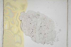 Plane Polarized, S5270