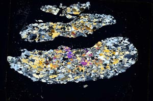 Cross Polarized, S5271