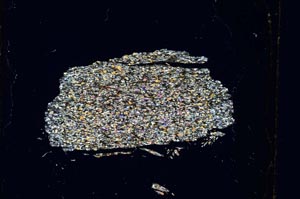 Cross Polarized, S5273