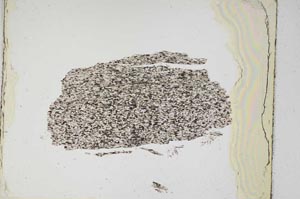 Plane Polarized, S5273