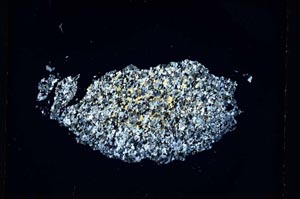 Cross Polarized, S5274