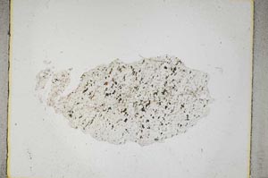 Plane Polarized, S5274