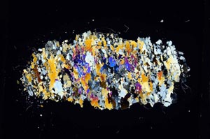 Cross Polarized, S5275