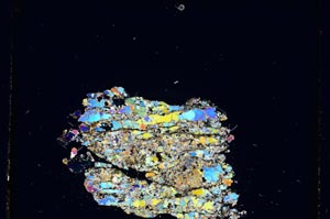Cross Polarized, S5277