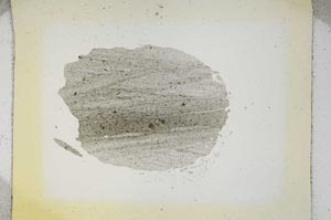 Plane Polarized, S5289