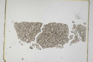 Plane Polarized, S5294