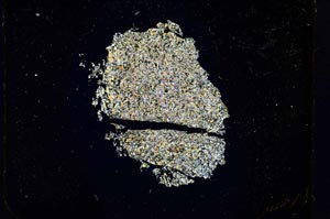 Cross Polarized, S5311