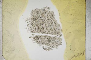 Plane Polarized, S5311