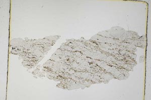 Plane Polarized, S5313