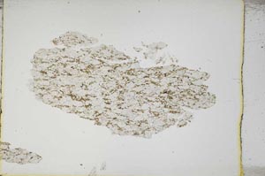 Plane Polarized, S5314