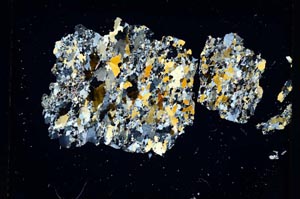 Cross Polarized, S5315