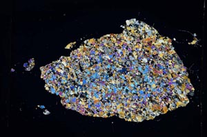 Cross Polarized, S5316