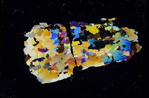 Cross Polarized, S5317