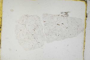 Plane Polarized, S5317