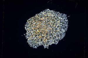 Cross Polarized, S5318