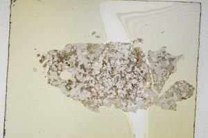 Plane Polarized, S5319