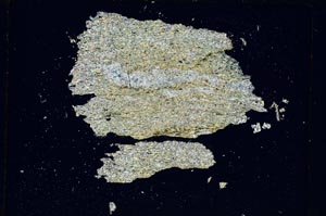 Cross Polarized, S5320