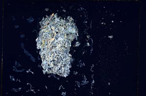 Cross Polarized, S5321