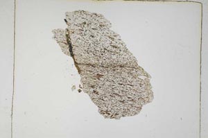 Plane Polarized, S5322