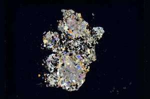 Cross Polarized, S5324