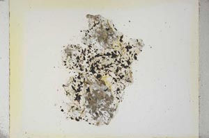 Plane Polarized, S5324