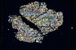 Cross Polarized, S5325