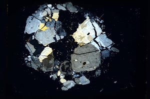 Cross Polarized, S5326