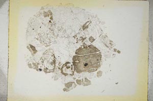 Plane Polarized, S5326