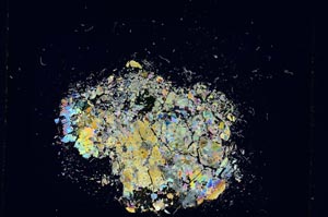 Cross Polarized, S5327