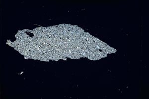 Cross Polarized, S5333