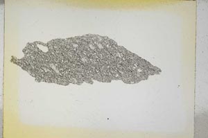 Plane Polarized, S5333