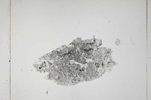 Plane Polarized, S5338